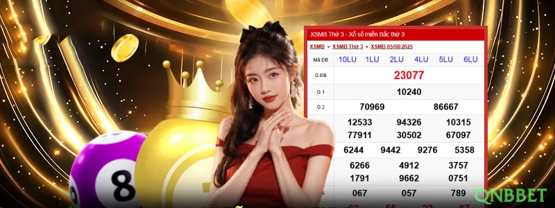 qnbbet Provedores Premium